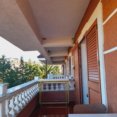 Zen Zen & 4* Tirana